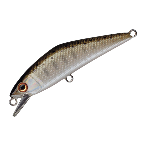 Ｄ－コンタクト　５０(＃０３　ヤマメ)